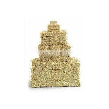 Straw hay bale, wheat hay bale, hay straw bale, cattle feed straw, wheat straw bale