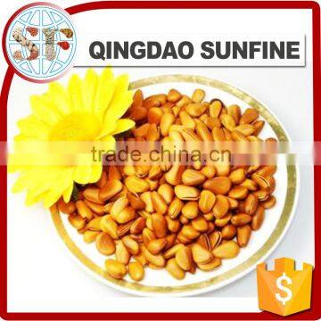 Raw & Roasted Organic Organic Pine Nuts in Shell