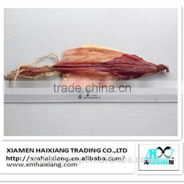 Wholesale Dried Cuttlefish Squid photo-4
