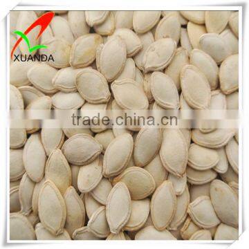 Shine skin pumpkin seeds 8-9cm, 9-10cm, 10up