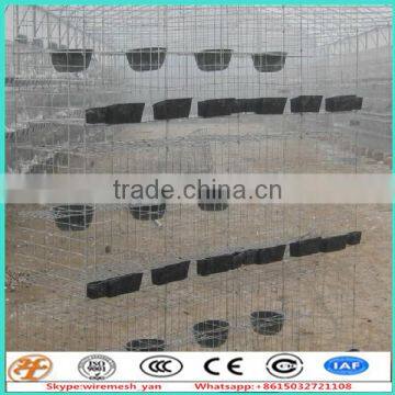 galvanized wire mesh panels Bird Used cage pour breeding pigeons