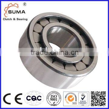 Single Row Full Complement Cylindrical Roller Bearing (SL18 SL19) photo-5