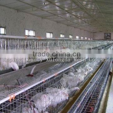 poultry cages