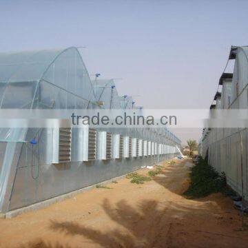 Poly-Film Greenhouse photo-5