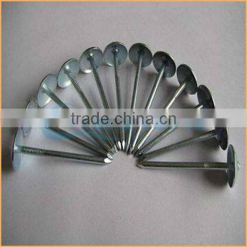 Top Quality Umbrella Head Twisted Roofing Nails Trusted Chuanghe Suppliers From Com photo-4