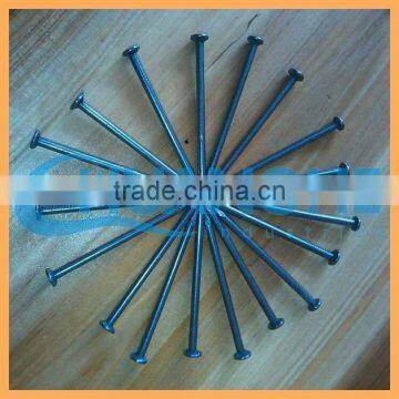 Manufacture High Quality Low Price Wooden Nails Iron Nails photo-5