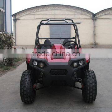 150cc Street Legal Kids Buggy UTV photo-2