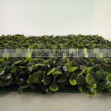 Artificial Grass Fence for Outdoor Decoration photo-4