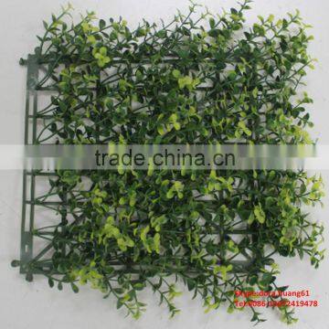SJH010528 Shengjie Decorative Mini Artificial Wall Plants Vertical Green Wall photo-2
