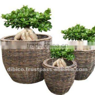 Round flower basket set 3pcs