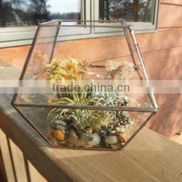 Simple Clear Glass Planter Terrarium photo-2