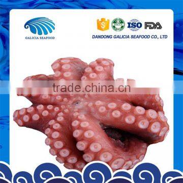 frozen flower octopus vulgaris with good quality