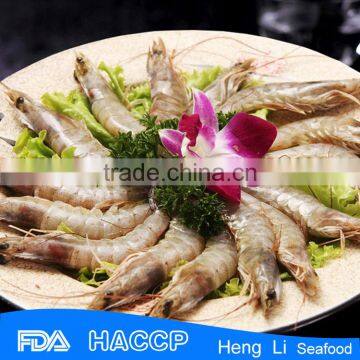 Frozen vannamei shrimp & black tiger shrimp low price