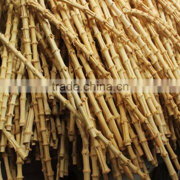 100%nature bamboo root for white/bamboo root cane