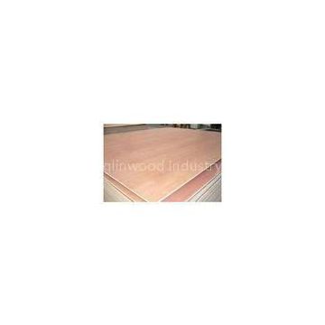 Poplar and Hardwood Pencil Card Commercial Plywood / Furniture Plywood Sheets BB/CC Grade