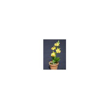 Oncidium Miniature Clay Flower (Artificial Flower)