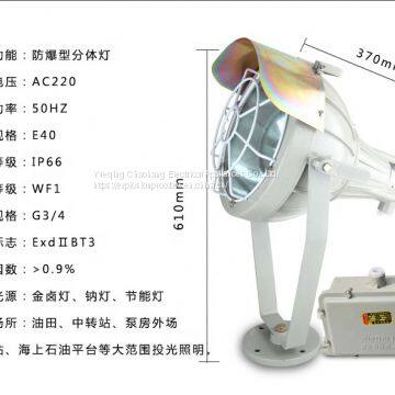 Split Explosion-proof Lamp Explosion Proof Spotlight BAT51-J1000W photo-2