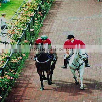 Horse pathway rubber brick/recycled rubber paver