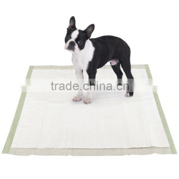 adult pee pads how to house train a puppy puppy toilet pads