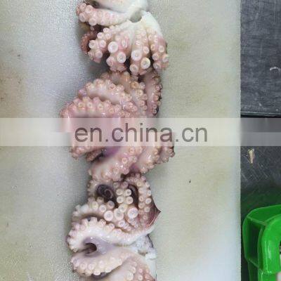 Popular Seafood Snack Takoyaki Frozen Roasted Octopus Ball photo-5