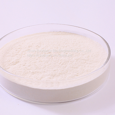 Acid Protease