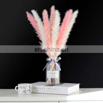 Wholesales Hot Sale Long Feather Phragmites Natural Flowers Dried Decorative White Pampas Grass Home Wedding Decoration