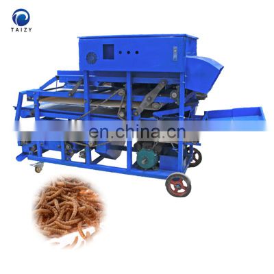 Mealworm separating machine Tenebrio molitor separator machine Mealworm machine