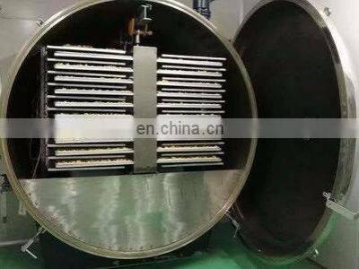Vacuum Freeze Dryer in the Dried Fruit& Vegetable Processing photo-3