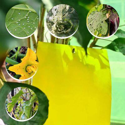 Greenhouse Sticky Roller Trap