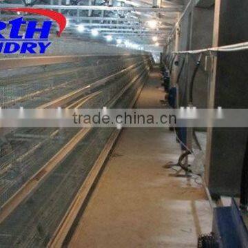 automatic broiler and egg layer poultry battery cages