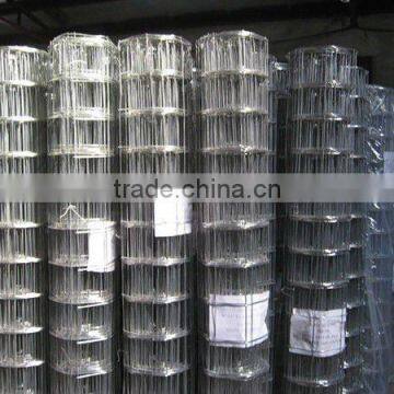 Sell diffrent size of electro Galvanized welded wire mesh and hot dipped galvanized welded wire mesh