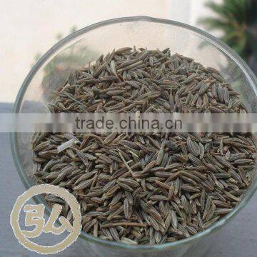 cumin seeds