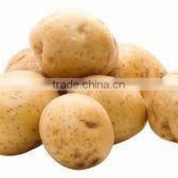 Indian potatoes