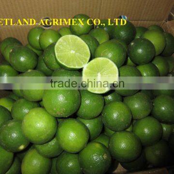 GREEN FRESH LIMES/ LEMON HIGH QUALITY FROM VIETNAM