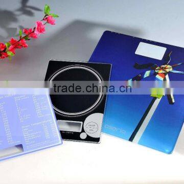 factory direct Body scale Glass Panel