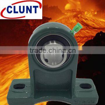 Pillow block bearing UCPH201