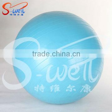 Eco 100cm Gym Ball