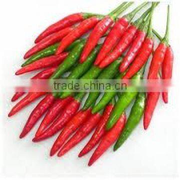 BEST PRICE VIETNAM FRESH CHILLI