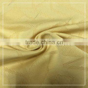 Spring Design Lady's Cloth Jacquard Net Fabric