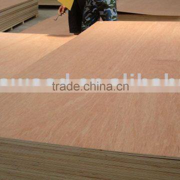 Door Skin Plywood