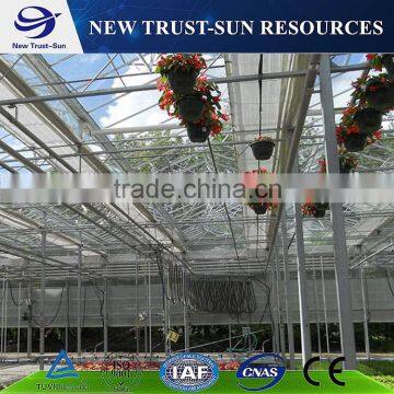 Multi-span Agricultural Glass Greenhouse photo-5