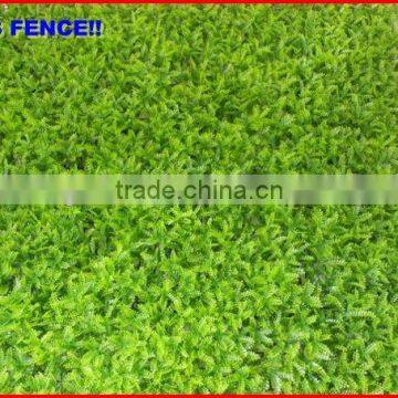 2013 China garden fence top 1 Garden covering hedge garden hedge