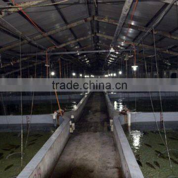 High Desity Fish Farming in the Greenhouse photo-2