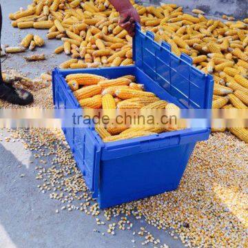 Plastic turnover logistics and storage container bin