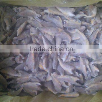 Zhoushan farming headless frozen small croaker