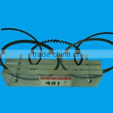 auto piston ring (481)