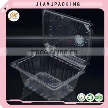 quality plastic clamshell blister tray, wholesale fruit storage box, hinged lid plastic container