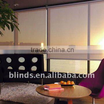 Sheer Manual Roller Blinds for Windows