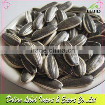 Sunflower Seeds American Type Long Shape