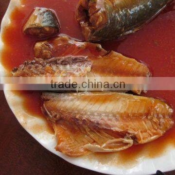 Good Quality Canned Mackerel in Tomato Sauce for Sale photo-2